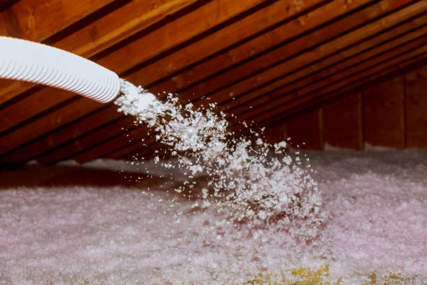 Best Best Insulation Companies  in Newport, SC
