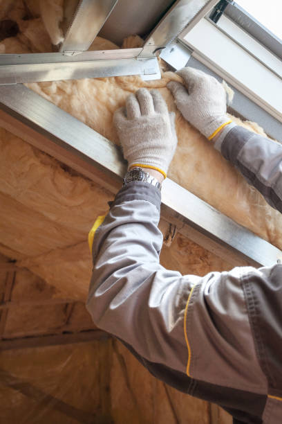 Best Insulation Installation Cost  in Newport, SC