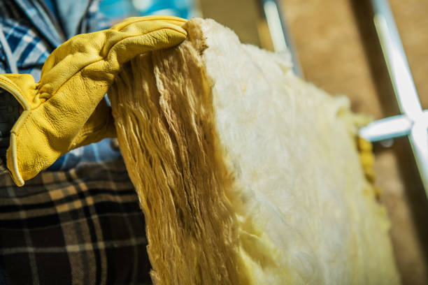 Best Insulation Repair Services  in Newport, SC