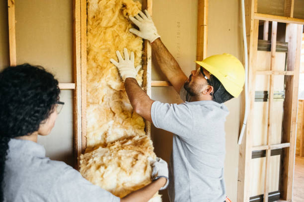 Best Insulation Contractors for Homes  in Newport, SC