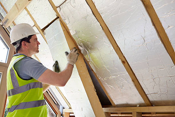 Best Insulation Removal  in Newport, SC