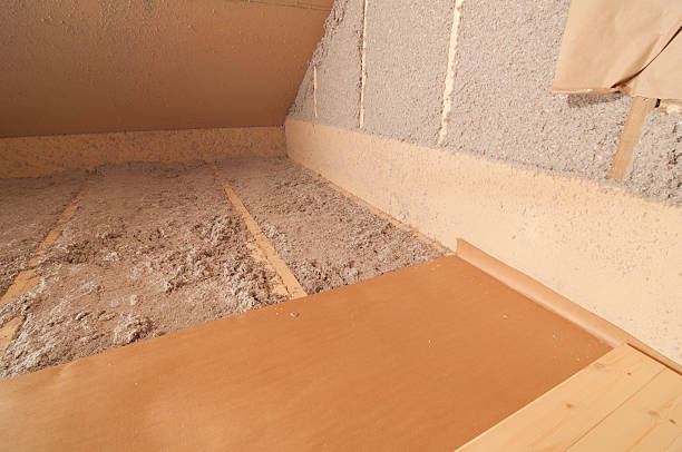 Best Home Insulation Services  in Newport, SC