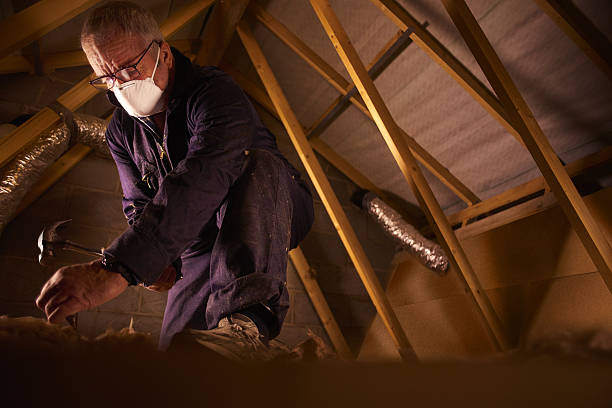 Best Energy-efficient Insulation  in Newport, SC